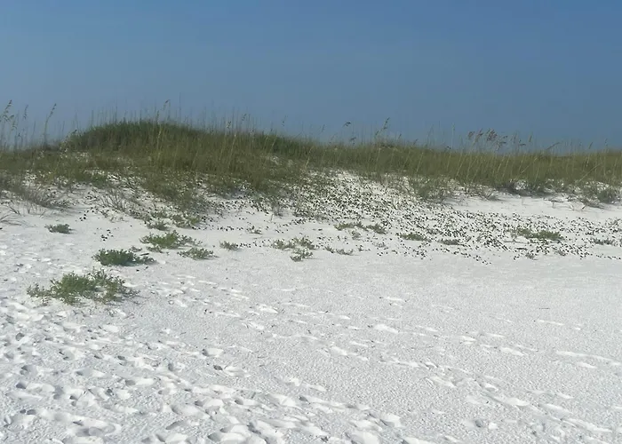 Lil' Piece Of I Large Vacation I Gulf Coast I Florida Holiday home Pensacola